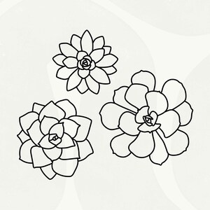 Pegatinas de vinilo con diseño de suculentas, 3 pegatinas minimalistas para portátil, estilo campestre, accesorios para furgonetas camper con diseño de cactus, regalo para amantes de la naturaleza, detalle perfecto para Navidad