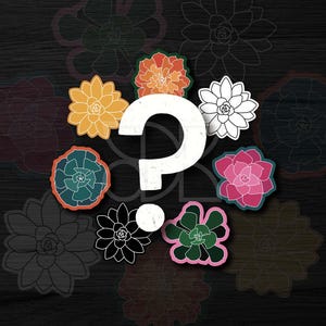 Paquete de pegatinas misteriosas de suculentas, 3 calcomanías mate resistentes al agua, estilo cottagecore, accesorios para portátiles con plantas, regalo para amantes de la naturaleza, ideal para rellenar calcetines navideños.