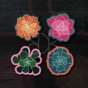 Paquete de pegatinas de suculentas, 8 pequeñas calcomanías mate resistentes al agua, arte cottagecore, accesorios de plantas para portátil, regalo para amantes de la naturaleza, regalo para calcetines navideños