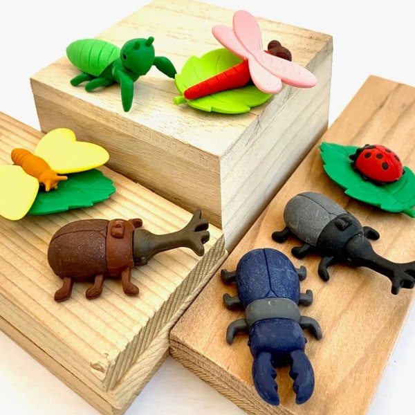 Mini Erasers - Iwako - Insect Life Erasers - Super Cute!