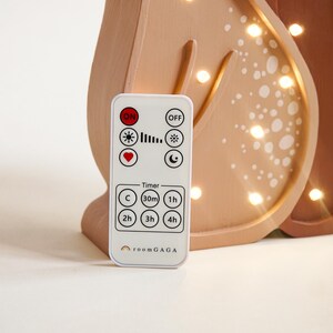 May include: A light brown wooden squirrel-shaped night light with a remote control. The night light has a series of small, warm white lights inside. The remote control has buttons for on/off, brightness, timer, and other settings. The brand name "roomGAGA" is printed on the remote.