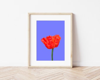 Poppy Print