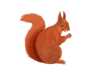 Red Squirrel Print, Cute British UK Poster, Woodland Rodent Wildlife Drawing, Kids Animal Gift Decor Illustration, Size A3 A4 A5 Wall Art