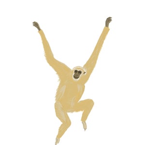 Lar Gibbon Print, Wildlife Ape Poster, Tropical Monkey Jungle Illustration, Children's Room Nursery, Animal Gift, Size A3 A4 A5 Wall Art image 1