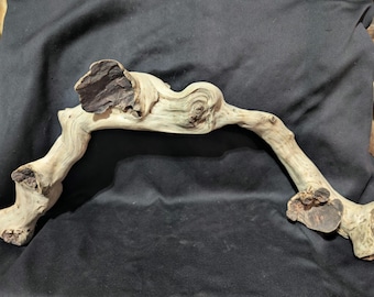 REDUCED PRICE Live Edge Handcrafted Unique Curved Driftwood Burls.