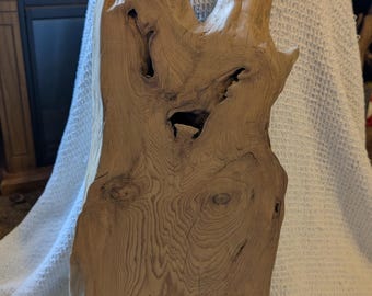 27" Tall Live Edge Unique Madrone Table Top Free Shipping