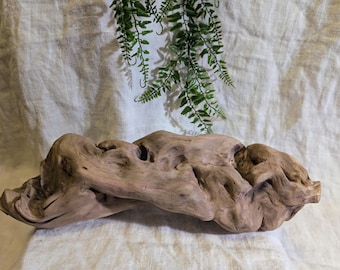 Live Edge California Grapewood Home Decor Sculpture