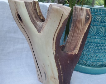 Live Edge Freestanding Manzanita Stand