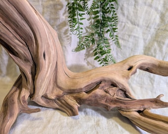 Live Edge California Manzanita Sculpture