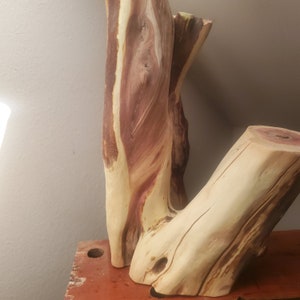 Scultura Manzanita della California