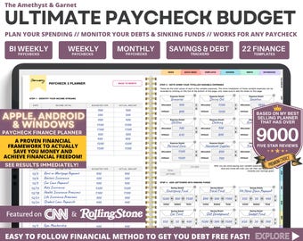 Biweekly digital Financial Budget Planner, Finance Tracker, Budget Planner, Undated Finance Planner, Monthly Budget, iPad Finance Template