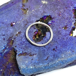 20 gauge 5/16 titanium hinged segment ring 8mm diameter