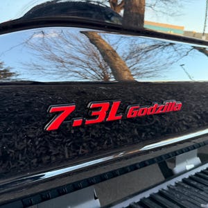 May include: Black vehicle with the text "7.3L Godzilla" in red lettering. The vehicle's surface reflects the sky and surrounding trees. The image is taken from a low angle.