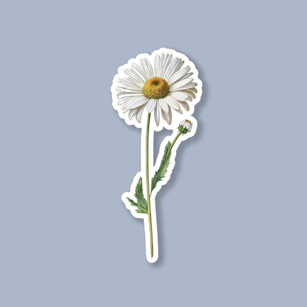 April Birth Flower Sticker, Daisy Sticker, Birth Flower Sticker, April Sticker, Laptop Sticker, Water Bottle Sticker, Tumbler Sticker