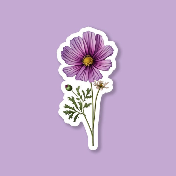 October Birth Flower Sticker, Cosmos Sticker, Birth Flower Sticker, October Sticker, Laptop Sticker, Tumbler Sticker, Water Bottle Sticker