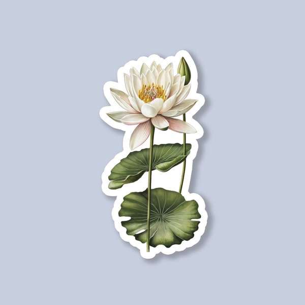 July Birth Flower Sticker, Water Lily Sticker, Birth Flower Sticker, July Sticker, Laptop Sticker, Tumbler Sticker, Water Bottle Sticker