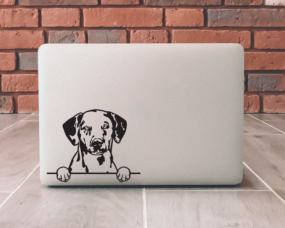 Peeking Dalmatian Decal Dalmatian Sticker Dalmatian Vinyl Etsy