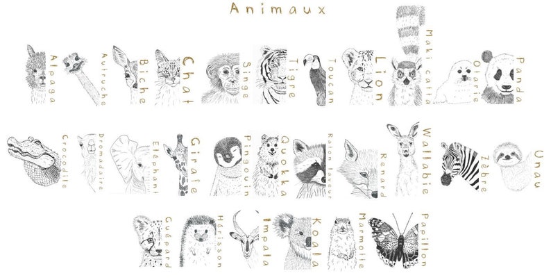 Carte à quenottes, Carte dents bébé, Fait main, Animaux, Guépard, Carte Artisanale, Fait main, Souvenir, Cadeau image 9