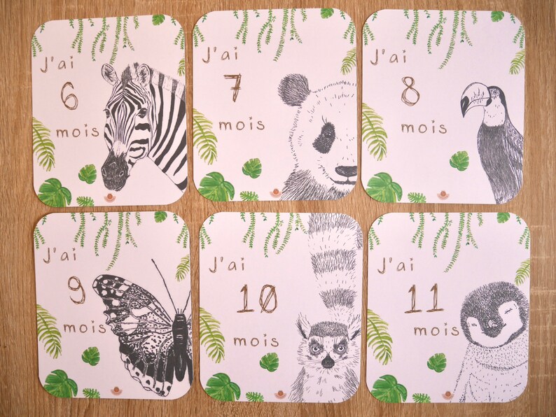 Cartes Étapes Bébé Animaux Jungle - 12 Cartes 13 à 24 Mois - Souvenir Naissance Anniversaire