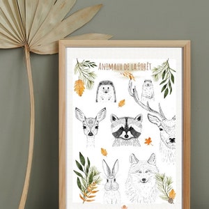Affiche - Poster Animaux de la Forêt 40x60cm