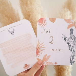 Boho of jungle mijlpaalkaarten, Baby mijlpaalkaarten, Geboortekaart, Handgemaakte kaart, Babykaart, Babyshower, Dieren