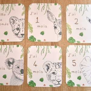 Cartes étapes jungle , Cartes étapes bébé , Carte naissance , Carte fait main , Carte bébé , Baby shower, Animaux