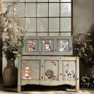 Möbeltransfer von Hokus Pokus - 3 Seiten - Ein Hundeleben