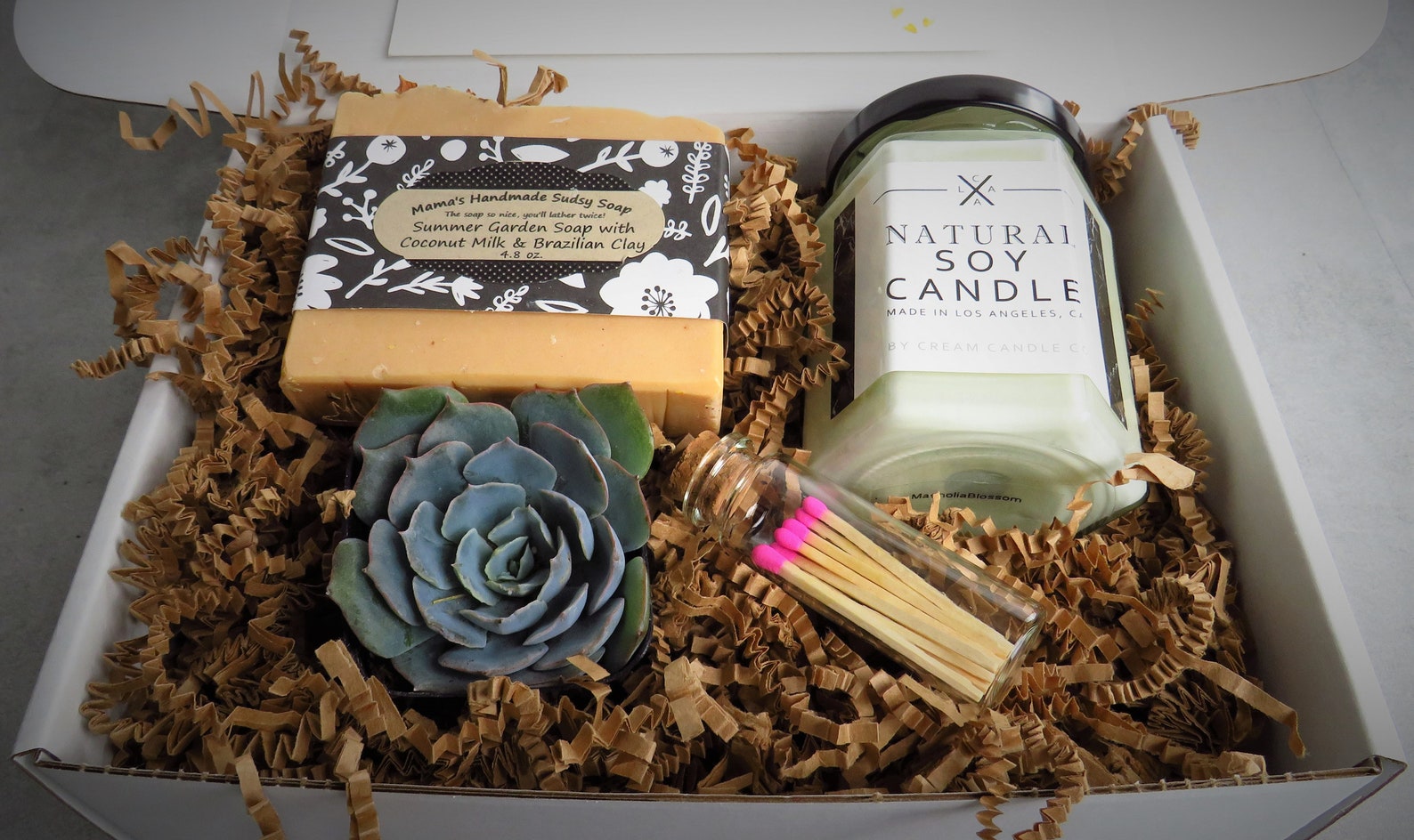 Birthday Gift With a Live Plant Succulent Gift Box With a Etsy