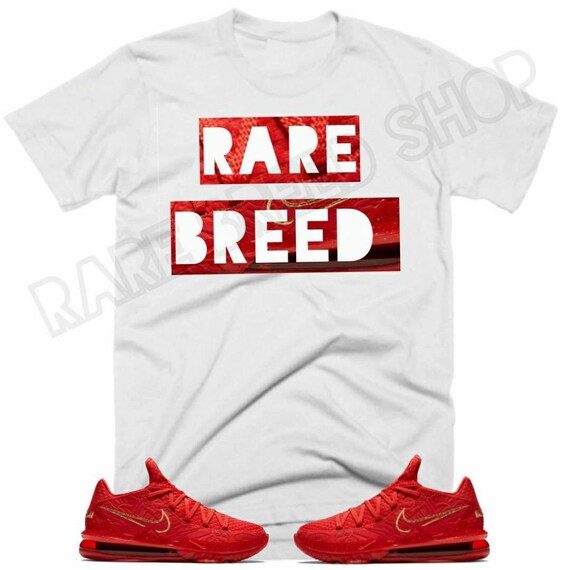 titan x nike lebron 17 low