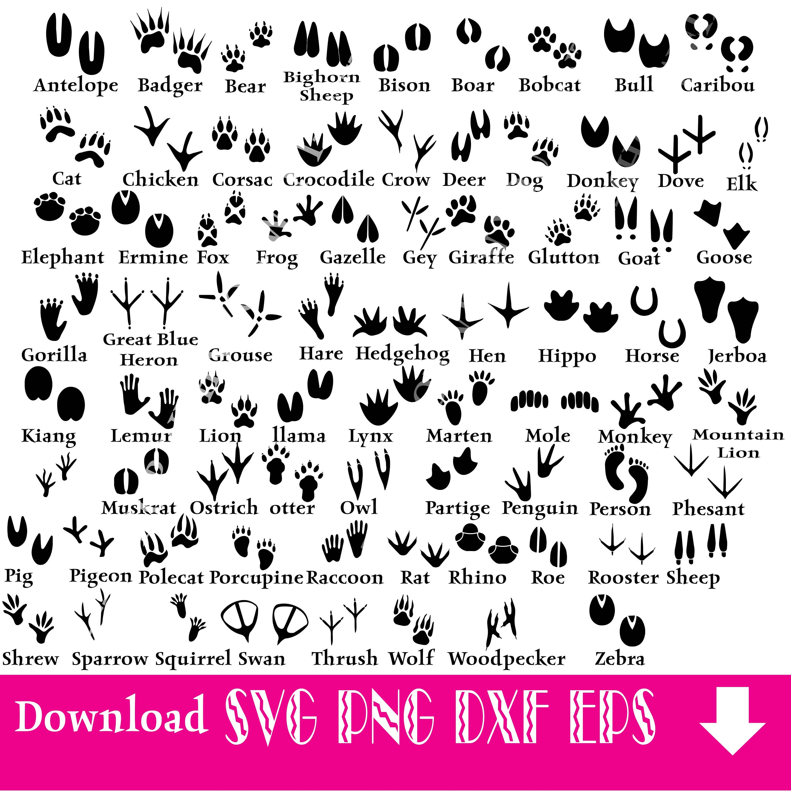 Animal Tracks, Woodland Animals footprints Clipart pack