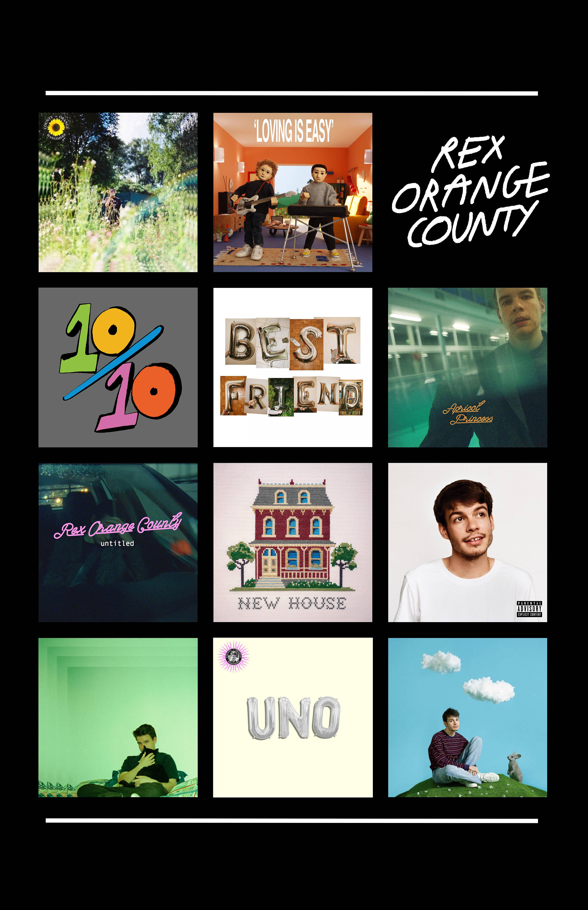 Rex Orange County Albums Poster digital Download (Instant Download) Etsy