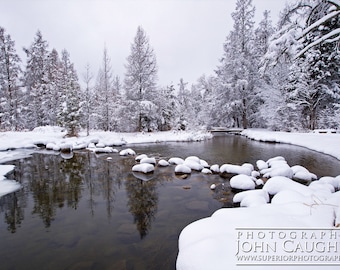 May include: A snowy winter scene with a frozen stream and snow-covered trees. The stream is partially frozen, with a few rocks visible in the water. The trees are covered in snow, and the branches are bare. The sky is overcast and gray.