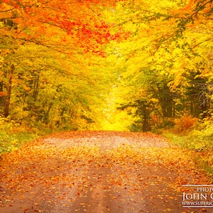 Autumn Road (Superior National Forrest)