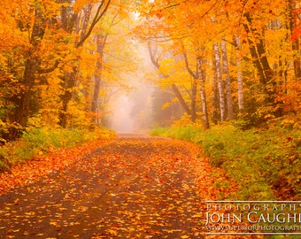 May include: A winding road through a forest with vibrant orange and yellow fall foliage. The road is covered in fallen leaves and leads into a misty distance.