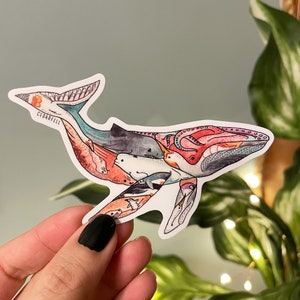 Sticker en vinyle fantaisiste baleine à bosse - aquarelle dessinée à la main, animaux entrelacés, art océanique, deux tailles, 4" et 6"
