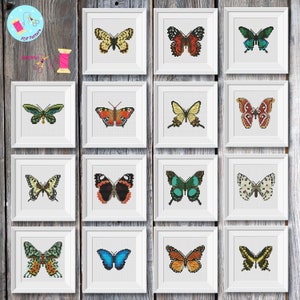 SET OF 15 Butterfly cross stitch pattern PDf, Insect cross stitch, Moth cross stitch pattern