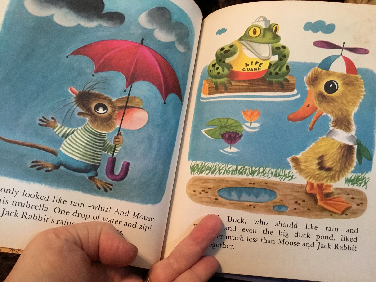 Vintage childrens book Duck and His Friends 1949 A Little | Etsy