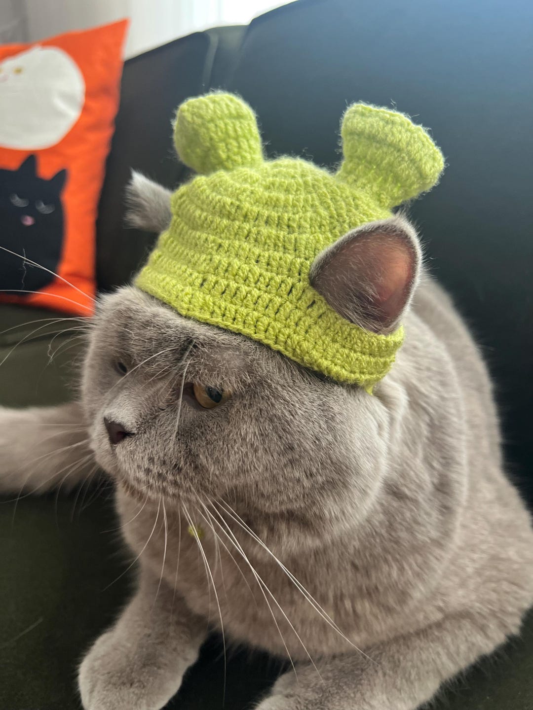 Shrek Green Monster Crochet Hat for Cat and Small Dog, Funny Knit Pet ...