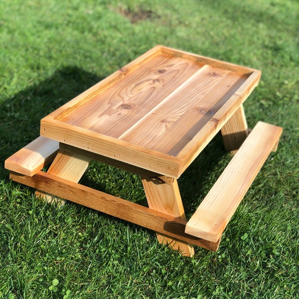 Combo Package: 24" Chicknic Table/ Chicken Swing