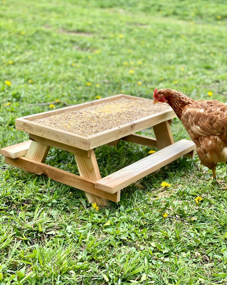 16 Chicknic Table/Chicken Picnic Table/ Table for Etsy