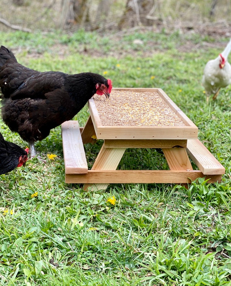 16 Chicknic Table/Chicken Picnic Table/ Table for Etsy