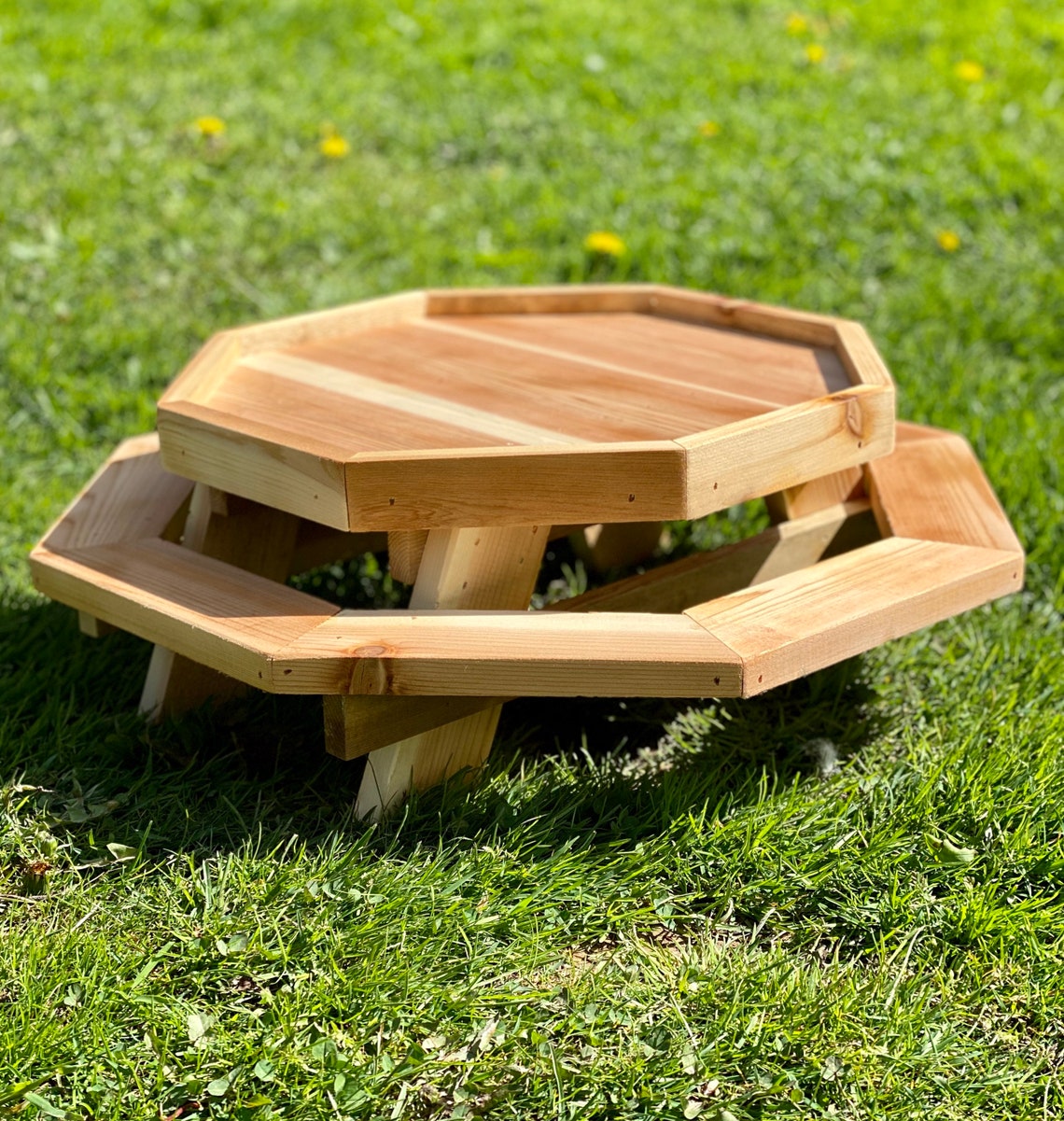 this-mini-picnic-table-for-chickens-lets-your-fowl-feed-with-a-little