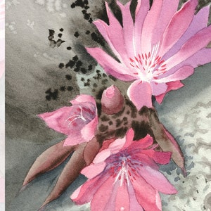 Puede incluir: Pintura a la acuarela de flores rosas con centros rojos y gotas de agua. Las flores tienen múltiples pétalos y se encuentran sobre un fondo gris y negro. La firma del artista está en la esquina inferior izquierda.