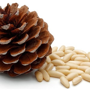 Pine nuts Jalghoza from Afghanistan shelledwithout shell image 3