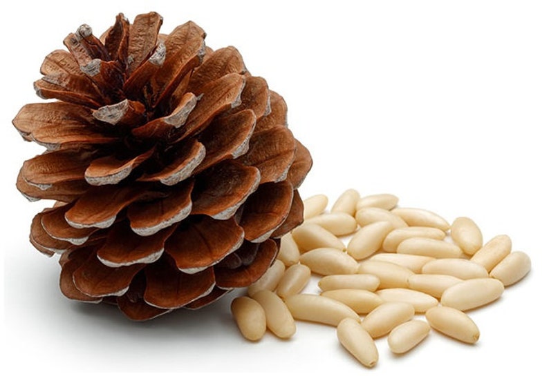 Pine nuts Jalghoza from Afghanistan shelledwithout shell image 3