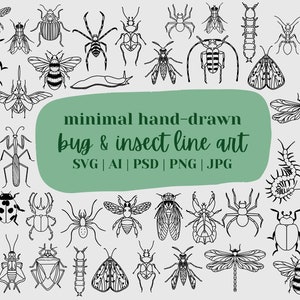 Bug & Insect SVG Bundle | Bug Art | Bug And Insect Clip Art | Bugs, Spiders, Moths, Insects, Bees, Beetles, and More | Bug ID Identification