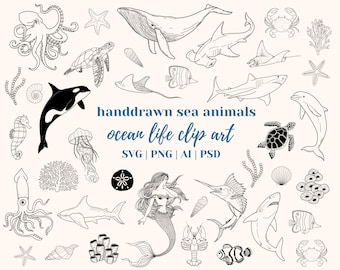 May include: Black and white line art illustrations of various sea creatures, including an octopus, whale, sea turtle, dolphin, jellyfish, starfish, seahorse, mermaid, and more. The text "handdrawn sea animals ocean life clip art SVG | PNG | AI | PSD" is included in the image.