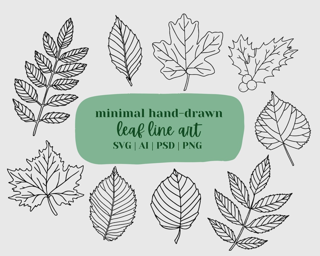Leaf Line Art SVG Bundle Leaf Identification Leaves Clip Art UK British leaf-line-art-svg-bundle-leaf-identification-leaves-clip-art-uk-british