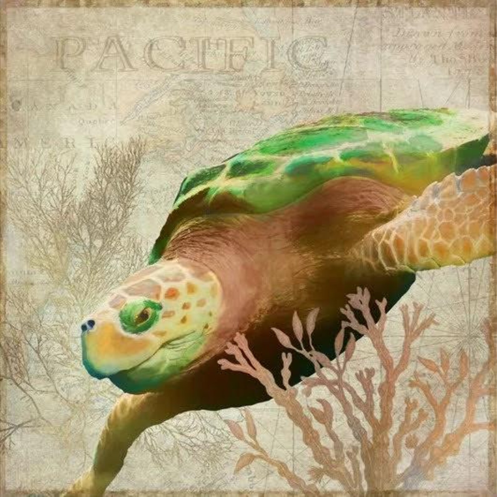 Tortoise Coaster Set main image 1