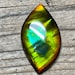 see more listings in the Resin Coated Ammolite section